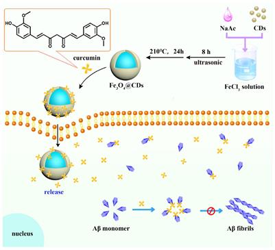 A Novel Nanosystem Realizing Curcumin Delivery Based on Fe3O4@Carbon Dots Nanocomposite for Alzheimer’s Disease Therapy